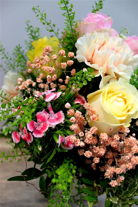 Floristik - Florapark Wagner