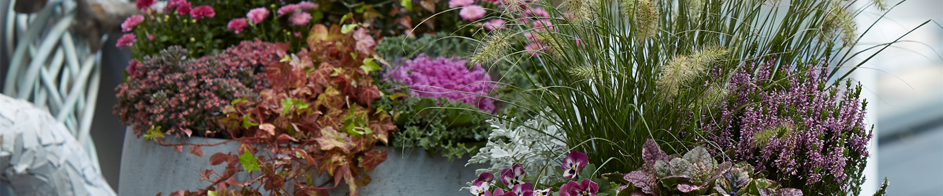 PFLANZ DIR GUTE HERBSTLAUNE!