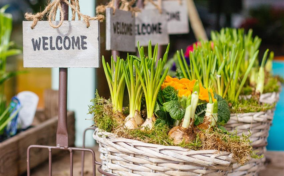 Für unser familäres Team - SUCHEN wir SIE! Für unser familäres Team - SUCHEN wir SIE!