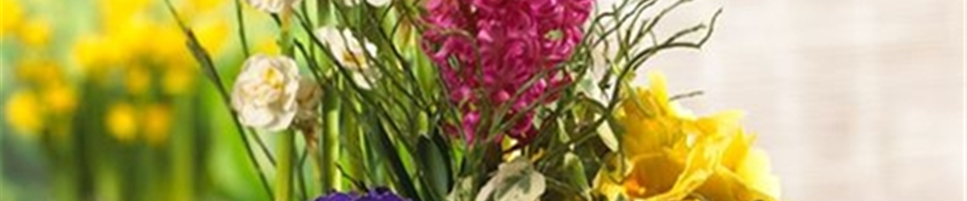 PFLANZIDEEN: FRüHLINGSBLüHER