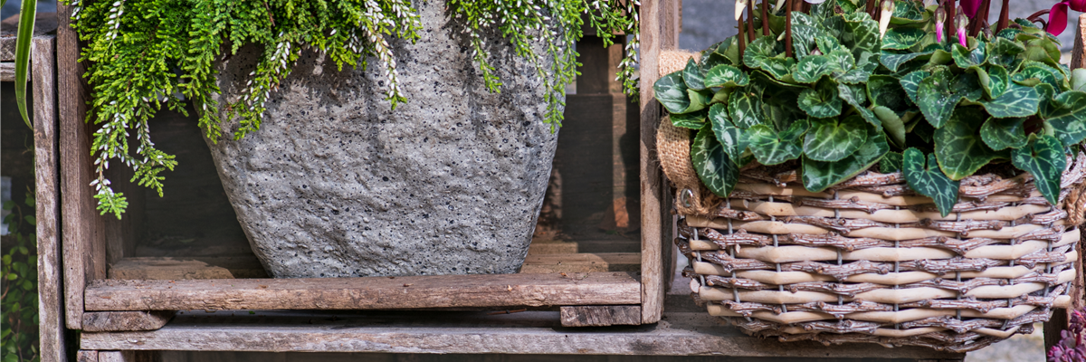 DIE FARBEN DES HERBSTES!