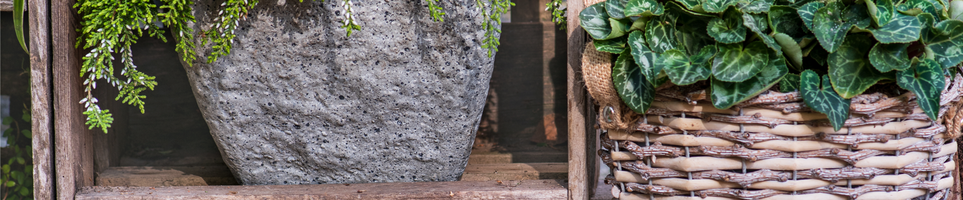 DIE FARBEN DES HERBSTES!