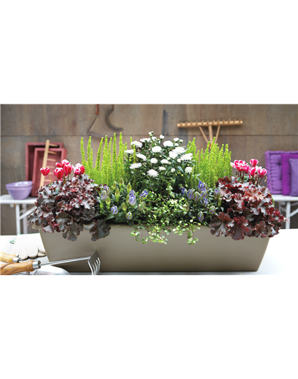 DER HERBST IM KASTEN!