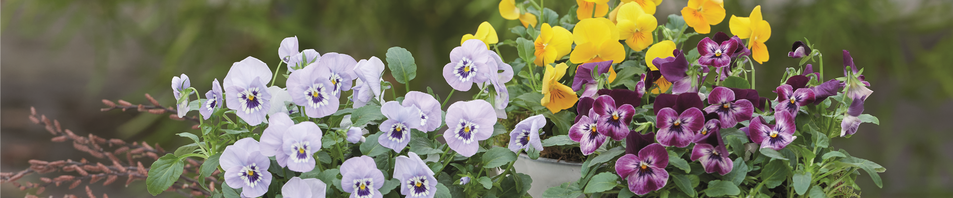 WIR LIEBEN DEN FRüHLING! 