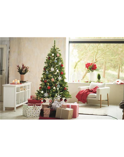 WEIHNACHTSBäUME EINMAL ANDERS!