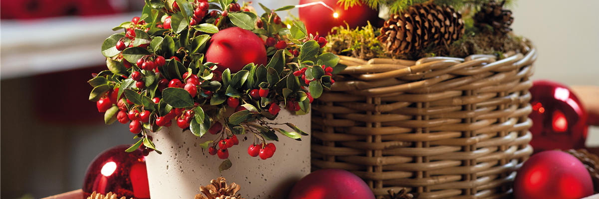 WINTERZAUBER AUF BALKON & TERRASSE! 