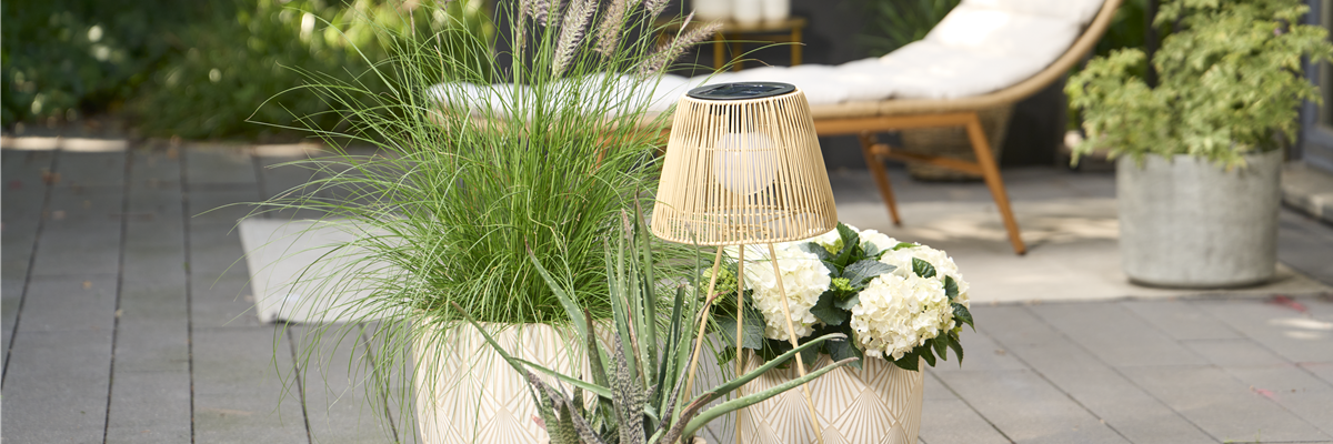 OASE DER ENTSPANNUNG!