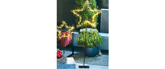 LICHTBLICKE IM WINTER-GARTEN!