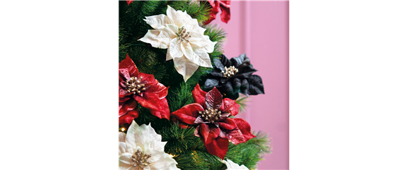 IM GLANZ DER ELEGANZ!