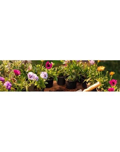 Buch des Monats: Januar!