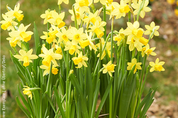 Unsere neue Beilage ist da!