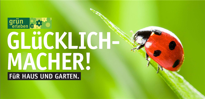 gutschein-neutral.jpg