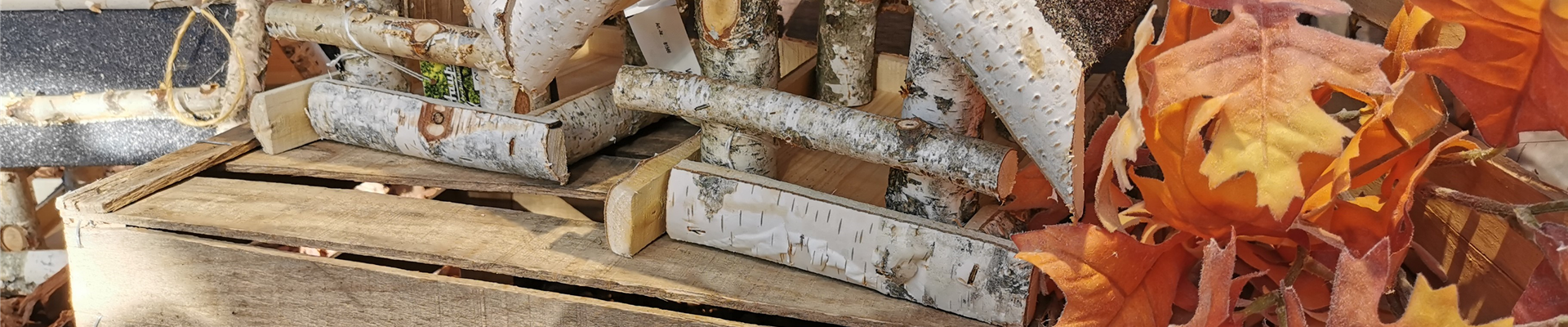 LECKERBISSEN FüR VöGEL