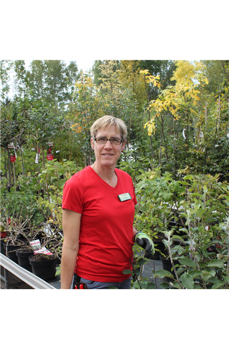 Sonja Raser Sonja Raser