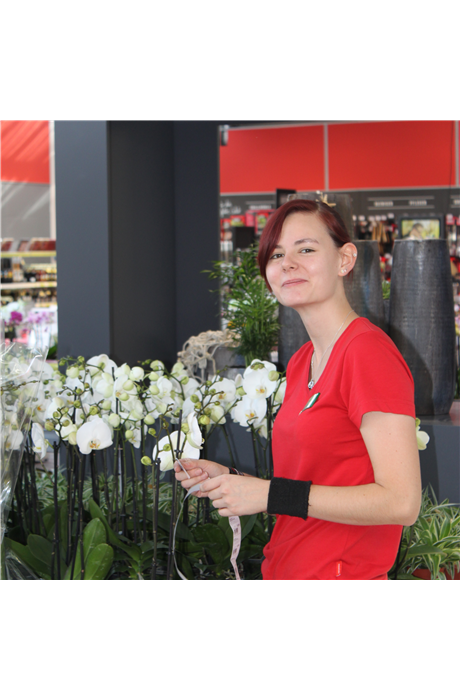 Jana Seitz Jana Seitz