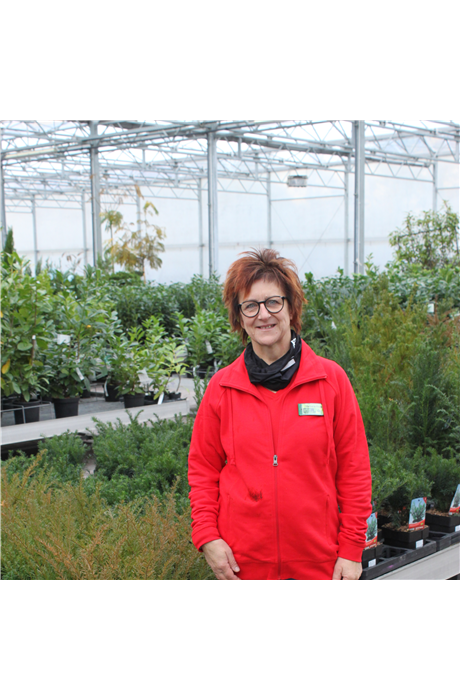 Stefanie Frink Stefanie Frink