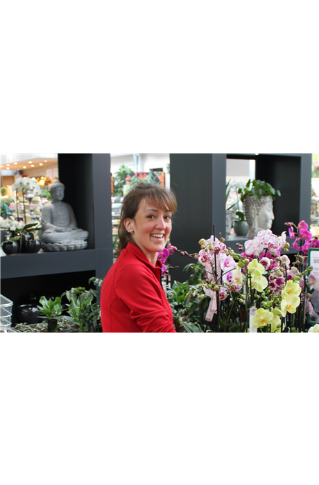 Yvonne Sönmez Yvonne Sönmez