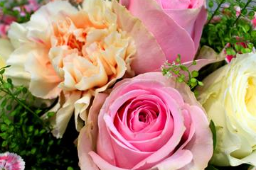 Floristik- & Deko-team Floristik- & Deko-team