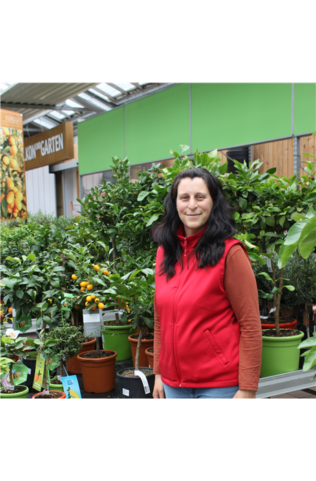 Valentina Cicciarella