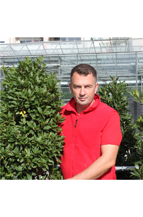 Naim Seferi Naim Seferi